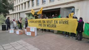 Une action de la Confédération paysanne au ministère de l'Agriculture le 14 janvier 2026.