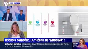 LE CHOIX D'ANGÈLE - La théorie du "nudging" ou "l'incitation douce" à la sobriété énergétique