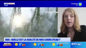 Planète locale du mercredi 27 novembre - Var : quelle est la qualité de nos cours d'eau ?
