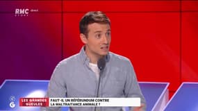 Le Grand Oral d'Hugo Clément, journaliste - 10/07