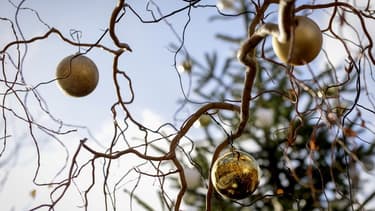 Décorations de Noël dans un arbre. PHOTO AFP