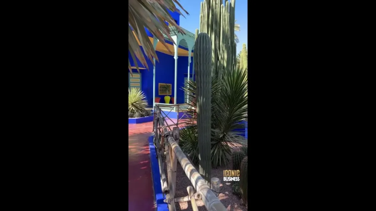 placeholder video