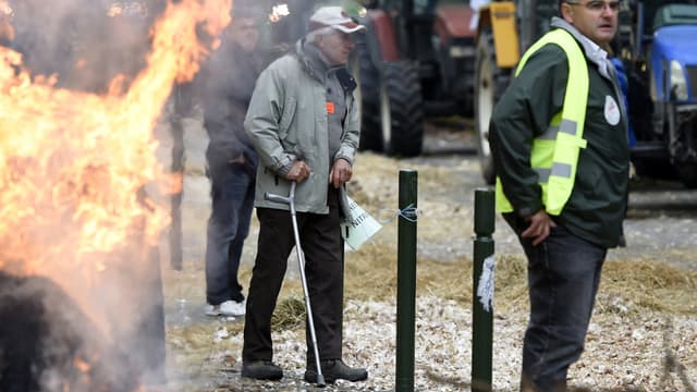 A l'appel de la FNSEA, plusieurs mobilisations d'agriculteurs vont se dérouler en France, ce mercredi. Photo datant de février 2014.
