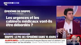 Grippe: vers un pic épidémique dans 10 jours?