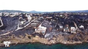 En Grèce, ces images aériennes montrent un littoral ravagé par les incendies