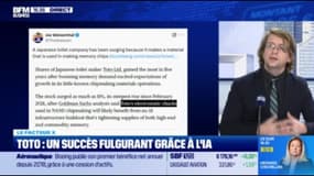 FACTEUR X 📍 : Toto Limited en forte hausse 🚽📈