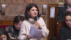 La députée Aurélie Trouvé (LFI) au gouvernement: "Vos bêtises coûtent un fric monstre!'