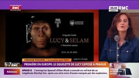 La femme du jour par Virginie Phulpin : Première en Europe, le squelette de Lucy exposé à Prague - 25/08