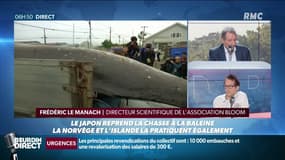 Reprise de la chasse à la baleine au Japon: “Un bon et un mauvais signal” selon Frédéric Le Manach de l’association Bloom