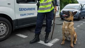 Les chiens du RAID sont essentiels à la police, grâce notamment à leur flair exceptionnel.