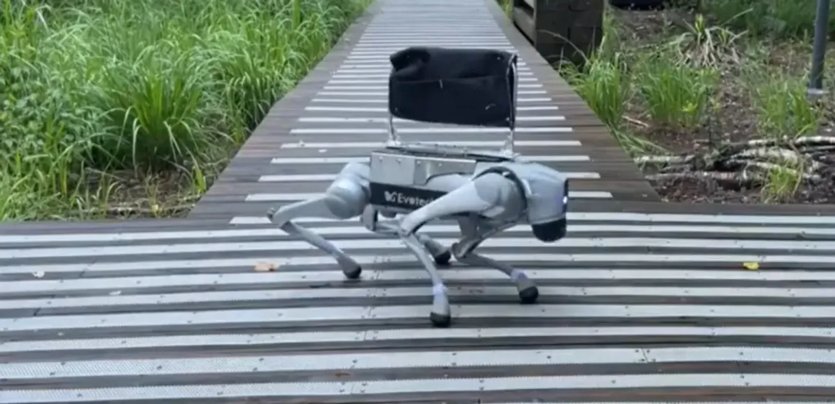placeholder video