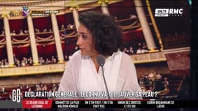 Sébastien Lecornu : "Ce que je vois, c'est une crise de régime", constate Chirinne Ardakani