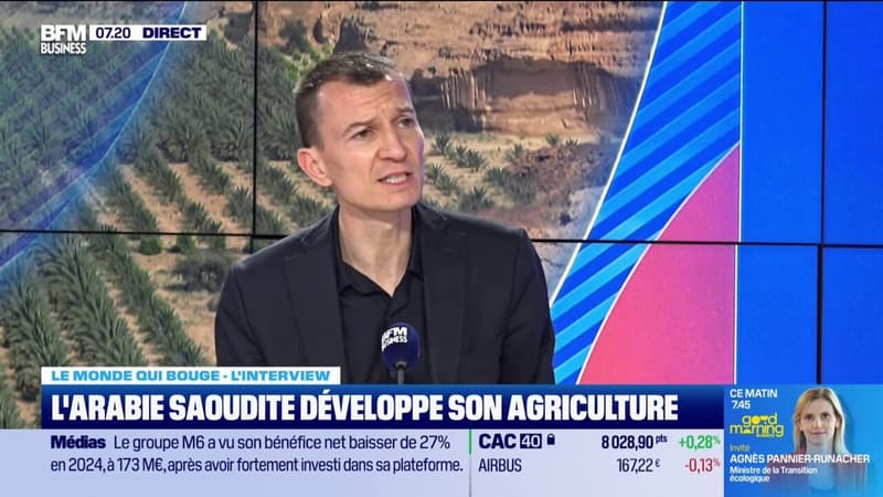 Filière laitière, dattes ou camélidés... L'Arabie Saoudite veut développer son agriculture malgré des freins géographiques