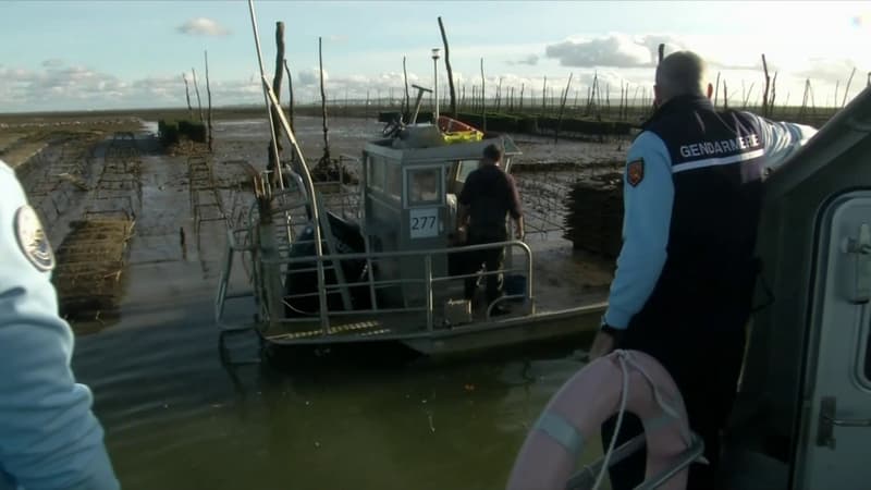 Bassin d'Arcachon: ces gendarmes mobilisés pour lutter contre les vols d'huîtres
