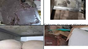 Fermeture administrative des ateliers de boulangerie, boucherie, sandwicherie, rôtisserie et de préparation de sushis, de l’enseigne « E. Leclerc », situé dans le centre commercial du Parisis à Franconville. 