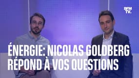 Nicolas Goldberg, spécialiste des questions énergétiques, répond à vos questions sur BFMTV et BFM Business