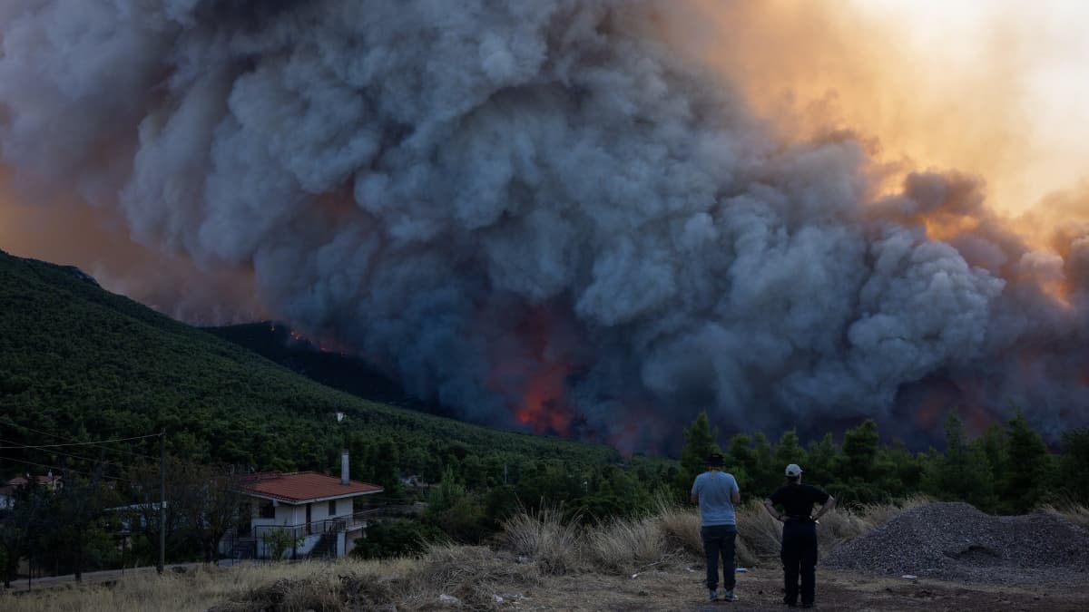 Des habitants observent la progression de l'incendie à Porto Germeno, en Grèce, le samedi 1er août 2026 Des habitants observent la progression de l'incendie à Porto Germeno, en Grèce, le samedi 1er août 2026