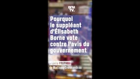 ÉDITO - Pourquoi le suppléant d'Élisabeth Borne vote contre l'avis du gouvernement