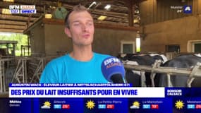 Alsace: l'appel à l'aide des producteurs de lait 