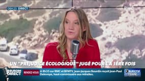 Objectif Terre : Un "préjudice écologique" jugé pour la première fois - 12/11