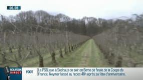 Le froid, une bonne nouvelle pour Marc Fauriel, agriculteur en GAEC à Loriol dans la Drôme 