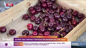 Le prix des cerises s'envole en raison de l'été 2022