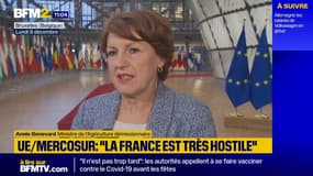 Accord signé UE-Mercosur: la ministre de l'Agriculture rappelle "l'hostilité" de la France