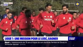 Ligue 1: une seule mission pour le LOSC, gagner