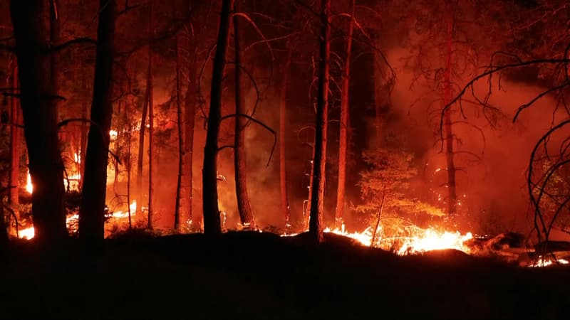DIRECT. Canicule: un incendie d'une ampleur exceptionnelle ravage la forêt de Fontainebleau, des fortes chaleurs encore attendues toute la journée en France