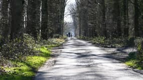 Des promeneurs près de Lille (photo d'illustration)