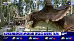 Coudekerque-Branche: le succès du Dino Parc