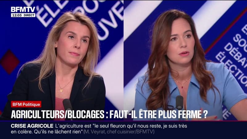 Colère agricole: Sarah Knafo, eurodéputée "Reconquête", "regrette qu'on ne parle" des agriculteurs "que lorsqu'ils bloquent"
