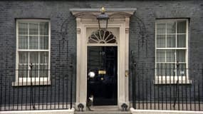 Un journaliste interpelle Larry, le chat du 10 Downing Street, sur l'avenir de Boris Johnson