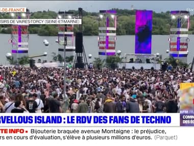 Seine-et-Marne: les fans de techno se sont donné rendez-vous au festival Marvellous Island