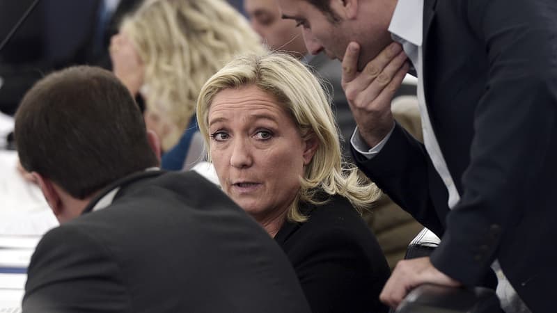 En tout, 20 assistants parlementaires des 24 eurodéputés Front national sont visés par une procédure judiciaire au Parlement européen.