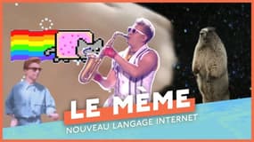 Le Mème : Nouveau langage internet