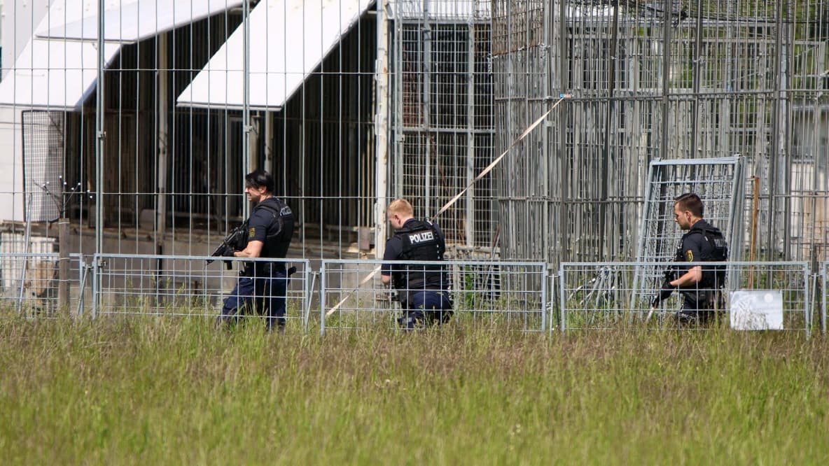 Un tigre évadé pesant 280 kilos abattu par la police allemande près de Leipzig