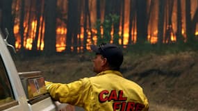 Un pompier regarder le "Rim fire".