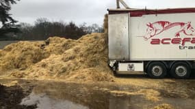 Le fumier du Salon de l'agriculture est en partie recyclé en biogaz. 