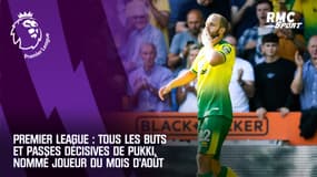 Premier League : tous les buts et passes décisives de la sensation Pukki, nommé joueur du mois d’août