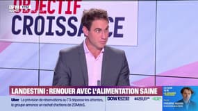 Henri Landes (Landestini) : Landestini, renouer avec l'alimentation saine - 06/08