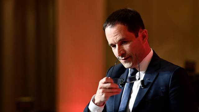 Benoît Hamon va siéger avec les Verts
