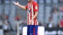 Diego Godin