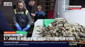 À sept jours de Noël, les ostréiculteurs de Charente-Maritime en plein sprint 