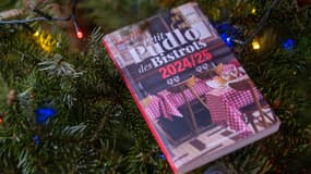 Petit Pudlo des Bistrots