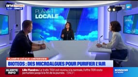 Planète Locale du mercredi 9 octobre - Bioteos : des microalgues pour purifier l'air