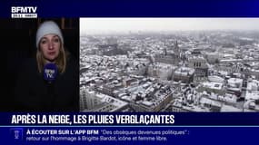 Tempête Goretti: dans les Hauts-de-France, tous les trains régionaux sont annulés pour la matinée du 9 janvier