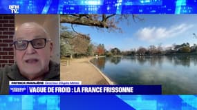 Vague de froid : la France frisonne - 17/12