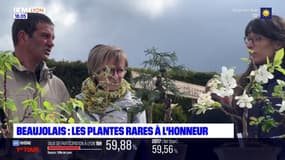 Beaujolais: les plantes rares à l'honneur