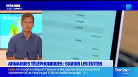 BFM Nord et vous: comment éviter les arnaques au téléphone?